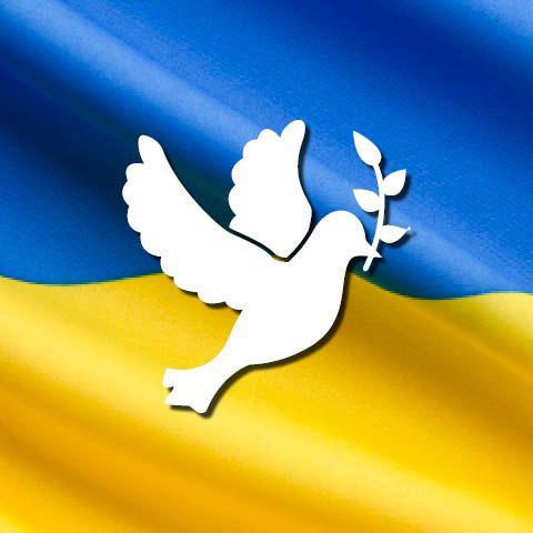 Fahne Ukraine Friedenstaube